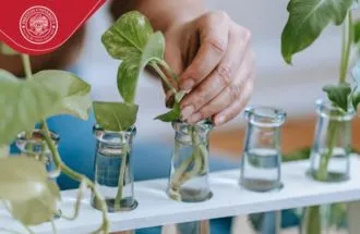 online diploma Courses pgd 1 year in environment management iosh nibosh osha course cetification course in islamabad rawapindi pakistan